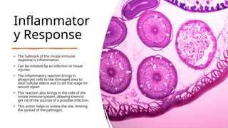 Inflammator
y Response
• The hallmark of the innate immune
response is inflammation.
• Can be initiated by an infection or tissue
injuries.
• The inflammatory reaction brings in
phagocytic cells to the damaged area to
clear cellular debris and to set the stage for
wound repair.
• This reaction also brings in the cells of the
innate immune system, allowing them to
get rid of the sources of a possible infection.
• This action helps to isolate the site, limiting
the spread of the pathogen.
 