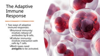 The Adaptive
Immune
Response
• Two ways of adaptive
immune responses:
Humoral immunity:
involves release of
antibodies by B cells.
Cellular immunity:
involves interaction with
cells by T cells
Both types need
antigens to be activated.
 
