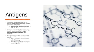 Antigens
• T cells only recognize antigen on the
surface of specialized cells called antigen-
presenting cells (APCs).
• Macrophages, dendritic cells, and B
cells are APCs
• Antigens presented by these cells using a
specific protein known as a major
histocompatibility complex (MHC)
molecule.
• Two distinct types MHC class I and MHC
class II.
• MHC-I presented on all nucleated
cells of the body.
• MHC-II presented only on antigen
presenting cells
 