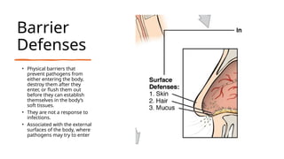 Barrier
Defenses
• Physical barriers that
prevent pathogens from
either entering the body,
destroy them after they
enter, or flush them out
before they can establish
themselves in the body’s
soft tissues.
• They are not a response to
infections.
• Associated with the external
surfaces of the body, where
pathogens may try to enter
 