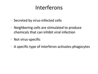 Interferons
–
Secreted by virus-infected cells
–
Neighboring cells are stimulated to produce
chemicals that can inhibit viral infection
–
Not virus-specific
–
A specific type of interferon activates phagocytes
 