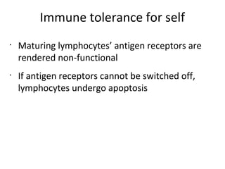 Immune tolerance for self
•
Maturing lymphocytes’ antigen receptors are
rendered non-functional
•
If antigen receptors cannot be switched off,
lymphocytes undergo apoptosis
 