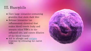 Cells and Function of the Immune System (AP BIOLOGY) | PPTX