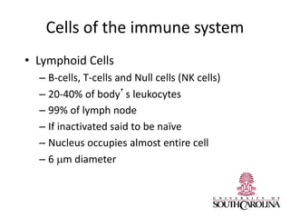 Comprehensive Overview of Immune System Cells and Their Functions | PDF