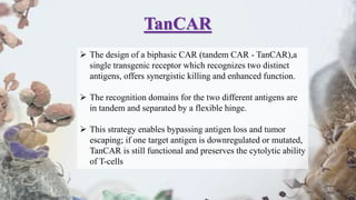 TanCAR
 The design of a biphasic CAR (tandem CAR - TanCAR),a
single transgenic receptor which recognizes two distinct
antigens, offers synergistic killing and enhanced function.
 The recognition domains for the two different antigens are
in tandem and separated by a flexible hinge.
 This strategy enables bypassing antigen loss and tumor
escaping; if one target antigen is downregulated or mutated,
TanCAR is still functional and preserves the cytolytic ability
of T-cells
 