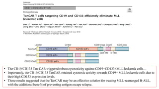 • The CD19/CD133 Tan-CAR triggered robust cytotoxicity against CD19+CD133+MLL leukemic cells…
• Importantly, the CD19/CD133 TanCAR retained cytotoxic activity towards CD19− MLL leukemic cells due to
their high CD133 expression levels.
• These results suggested that the TanCAR may be an effective solution for treating MLL-rearranged B-ALL,
with the additional benefit of preventing antigen escape relapse.
 