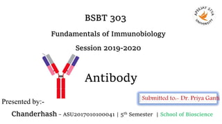 Antibody
Chanderhash – ASU2017010100041 | 5th Semester | School of Bioscience
BSBT 303
Fundamentals of Immunobiology
Session 2019-2020
Presented by:-
 