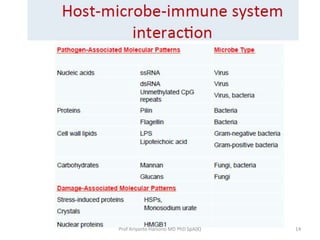 Prof Ariyanto Harsono MD PhD SpA(K)

14

 