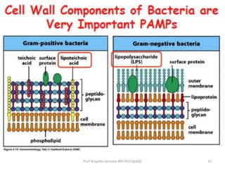 Prof Ariyanto Harsono MD PhD SpA(K)

15

 