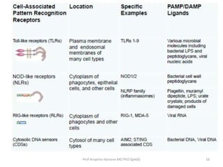 Prof Ariyanto Harsono MD PhD SpA(K)

16

 