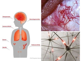 Prof Ariyanto Harsono MD PhD SpA(K)

35

 