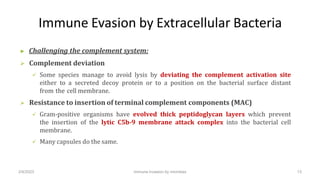 Immune Evasion by Extracellular Bacteria
▶ Challenging the complement system:
 Complement deviation
 Some species manage...
