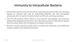 Immunity to Intracellular Bacteria
▶ Intracellular bacteria activate NK cells by inducing expression of NK cell–activating...