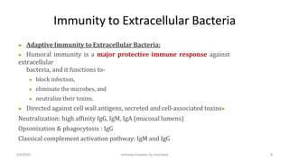 Immunity to Extracellular Bacteria
▶ Adaptive Immunity to Extracellular Bacteria:
▶ Humoral immunity is a major protective...