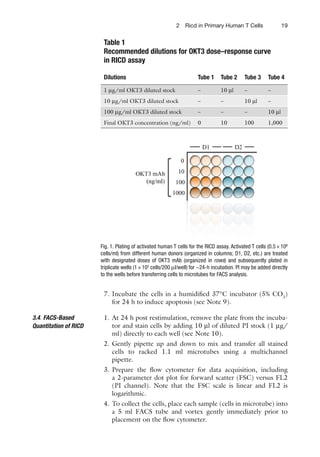 192 Ricd in Primary Human T Cells
7. Incubate the cells in a humidiﬁed 37°C incubator (5% CO2
)
for 24 h to induce apoptosis (see Note 9).
1. At 24 h post restimulation, remove the plate from the incuba-
tor and stain cells by adding 10 μl of diluted PI stock (1 μg/
ml) directly to each well (see Note 10).
2. Gently pipette up and down to mix and transfer all stained
cells to racked 1.1 ml microtubes using a multichannel
pipette.
3. Prepare the ﬂow cytometer for data acquisition, including
a 2-parameter dot plot for forward scatter (FSC) versus FL2
(PI channel). Note that the FSC scale is linear and FL2 is
logarithmic.
4. To collect the cells, place each sample (cells in microtube) into
a 5 ml FACS tube and vortex gently immediately prior to
placement on the ﬂow cytometer.
3.4. FACS-Based
Quantitation of RICD
Table 1
Recommended dilutions for OKT3 dose–response curve
in RICD assay
Dilutions Tube 1 Tube 2 Tube 3 Tube 4
1 μg/ml OKT3 diluted stock – 10 μl – –
10 μg/ml OKT3 diluted stock – – 10 μl –
100 μg/ml OKT3 diluted stock – – – 10 μl
Final OKT3 concentration (ng/ml) 0 10 100 1,000
Fig. 1. Plating of activated human T cells for the RICD assay. Activated T cells (0.5×106
cells/ml) from different human donors (organized in columns; D1, D2, etc.) are treated
with designated doses of OKT3 mAb (organized in rows) and subsequently plated in
triplicate wells (1×105
cells/200 μl/well) for ~24-h incubation. PI may be added directly
to the wells before transferring cells to microtubes for FACS analysis.
 