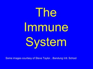 The
              Immune
               System
Some images courtesy of Steve Taylor…Bandung Intl. School
 