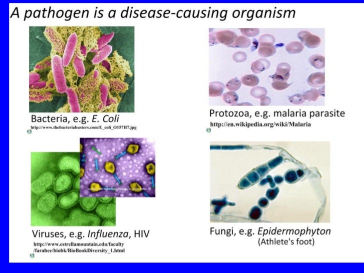 what are the different disease causing agents