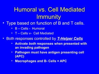 Humoral vs. Cell Mediated
Immunity
• Type based on function of B and T cells.
• B – Cells - Humoral
• T – Cells v- Cell Mediated
• Both responses controlled by T-Helper Cells
• Activate both responses when presented with
an invading pathogen
• Pathogen must have antigen presenting cell
(APC)
• Macrophages and B- Cells = APC
 