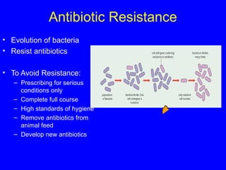 Antibiotic Resistance
• Evolution of bacteria
• Resist antibiotics
• To Avoid Resistance:
– Prescribing for serious
conditions only
– Complete full course
– High standards of hygiene
– Remove antibiotics from
animal feed
– Develop new antibiotics
 