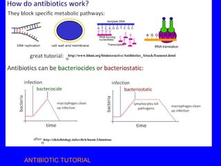 ANTIBIOTIC TUTORIAL
 