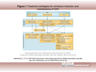 Figure 1 Treatment strategies for remission induction and
maintenance of AAV
Kallenberg, C. G. M. (2014) Key advances in the clinical approach to ANCA-associated vasculitis
Nat. Rev. Rheumatol. doi:10.1038/nrrheum.2014.104
Reproduced with some modifications with permission from NPG.
Treatment of ANCA-associated vasculitis. Nat. Rev. Nephrol. 10, 25–36 (2014)
 