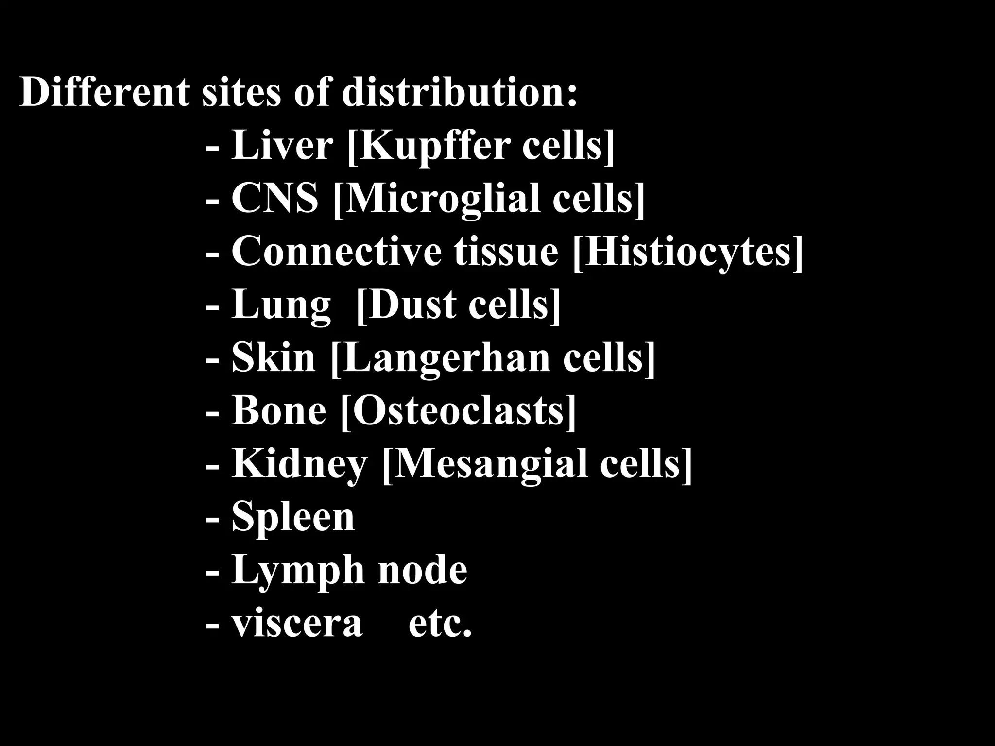 Different sites of distribution: 
- Liver [Kupffer cells] 
- CNS [Microglial cells] 
- Connective tissue [Histiocytes] 
- Lung [Dust cells] 
- Skin [Langerhan cells] 
- Bone [Osteoclasts] 
- Kidney [Mesangial cells] 
- Spleen 
- Lymph node 
- viscera etc. 
 