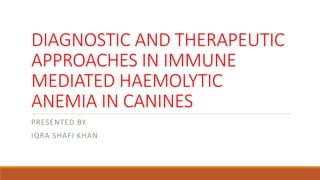 DIAGNOSTIC AND THERAPEUTIC
APPROACHES IN IMMUNE
MEDIATED HAEMOLYTIC
ANEMIA IN CANINES
PRESENTED BY
IQRA SHAFI KHAN
 