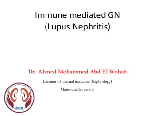 Immune mediated GN
(Lupus Nephritis)
Dr. Ahmed Mohammed Abd El Wahab
Lecturer of internal medicine (Nephrology)
Mansoura University
 