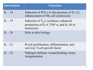 Comprehensive Overview of the Immune Response: Anatomy, Physiology, and ...