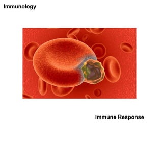 Immunology




             Immune Response
 