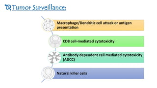 Immune response against tumors | PDF