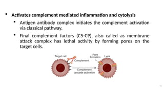 IMMUNE RESPONSES: cell mediated and humoral mediated.pptx