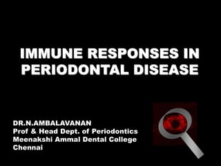 IMMUNE RESPONSES IN
PERIODONTAL DISEASE
DR.N.AMBALAVANAN
Prof & Head Dept. of Periodontics
Meenakshi Ammal Dental College
Chennai
 