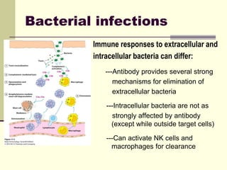 Extracellular Infection Immune response to infectious agents.pptx