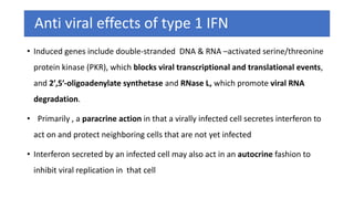 Anti viral effects of type 1 IFN
• Induced genes include double-stranded DNA & RNA –activated serine/threonine
protein kinase (PKR), which blocks viral transcriptional and translational events,
and 2′,5′-oligoadenylate synthetase and RNase L, which promote viral RNA
degradation.
• Primarily , a paracrine action in that a virally infected cell secretes interferon to
act on and protect neighboring cells that are not yet infected
• Interferon secreted by an infected cell may also act in an autocrine fashion to
inhibit viral replication in that cell
 