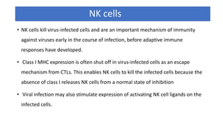 NK cells
• NK cells kill virus-infected cells and are an important mechanism of immunity
against viruses early in the course of infection, before adaptive immune
responses have developed.
• Class I MHC expression is often shut off in virus-infected cells as an escape
mechanism from CTLs. This enables NK cells to kill the infected cells because the
absence of class I releases NK cells from a normal state of inhibition
• Viral infection may also stimulate expression of activating NK cell ligands on the
infected cells.
 