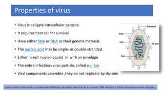 Properties of virus
• Virus is obligate intracellular parasite
• It requires host cell for survival
• Have either RNA or DNA as their genetic material.
• The nucleic acid may be single- or double-stranded.
• Either naked nucleo-capsid or with an envelope
• The entire infectious virus particle, called a virion
• Viral components assemble ,they do not replicate by division
Lodish H, Berk A, Zipursky SL, et al. Molecular Cell Biology. 4th edition. New York: W. H. Freeman; 2000. Section 6.3, Viruses: Structure, Function, and Uses.
 