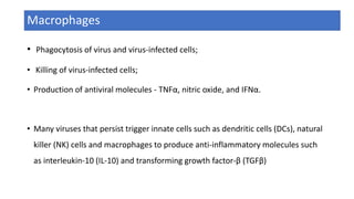 Macrophages
• Phagocytosis of virus and virus-infected cells;
• Killing of virus-infected cells;
• Production of antiviral molecules - TNFα, nitric oxide, and IFNα.
• Many viruses that persist trigger innate cells such as dendritic cells (DCs), natural
killer (NK) cells and macrophages to produce anti-inflammatory molecules such
as interleukin-10 (IL-10) and transforming growth factor-β (TGFβ)
 