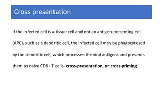 Cross presentation
If the infected cell is a tissue cell and not an antigen-presenting cell
(APC), such as a dendritic cell, the infected cell may be phagocytosed
by the dendritic cell, which processes the viral antigens and presents
them to naive CD8+ T cells- cross-presentation, or cross-priming
 