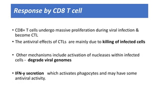 Response by CD8 T cell
• CD8+ T cells undergo massive proliferation during viral infection &
become CTL
• The antiviral effects of CTLs are mainly due to killing of infected cells
• Other mechanisms include activation of nucleases within infected
cells - degrade viral genomes
• IFN-γ secretion which activates phagocytes and may have some
antiviral activity.
 