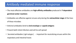 Antibody mediated immune response
• The most effective antibodies are high-affinity antibodies produced in T-dependent
germinal center reactions
• Antibodies are effective against viruses only during the extracellular stage of the lives
of these microbes
• Antiviral antibodies bind to viral envelope or capsid antigens
• Prevent both initial infection and cell-to-cell spread
• Secreted antibodies ( IgA isotype ) - important for neutralizing viruses within the
respiratory and intestinal tracts
 