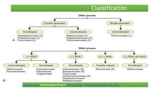 Classification
Gaurab Karki Classification of virus . Microbiology, Virology September 17, 2017
 