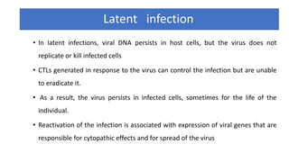 Latent infection
• In latent infections, viral DNA persists in host cells, but the virus does not
replicate or kill infected cells
• CTLs generated in response to the virus can control the infection but are unable
to eradicate it.
• As a result, the virus persists in infected cells, sometimes for the life of the
individual.
• Reactivation of the infection is associated with expression of viral genes that are
responsible for cytopathic effects and for spread of the virus
 
