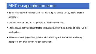 MHC escape phenomenon
• Some viruses inhibit class I MHC–associated presentation of cytosolic protein
antigens.
• Such viruses cannot be recognized or killed by CD8+ CTLs.
• NK cells are activated by infected cells, especially in the absence of class I MHC
molecules.
• Some viruses may produce proteins that act as ligands for NK cell inhibitory
receptors and thus inhibit NK cell activation
 