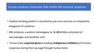 Viruses produce molecules that inhibit the immune response
• Cytokine binding protein is secreted by pox virus and acts as competitive
antagonist of cytokines
• EBV produces a protein homologous to IL-10 inhibits activation of
macrophages and dendritic cells
• Viruses have acquired genes encoding endogenous inhibitors of immune
responses during their passage through human hosts
 