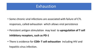 Exhaustion
• Some chronic viral infections are associated with failure of CTL
responses, called exhaustion which allows viral persistence
• Persistent antigen stimulation may lead to upregulation of T cell
inhibitory receptors, such as PD-1
• There is evidence for CD8+ T cell exhaustion including HIV and
hepatitis virus infection.
 