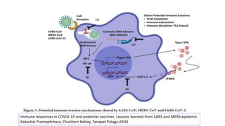 Immune responses in COVID-19 and potential vaccines: Lessons learned from SARS and MERS epidemic
Eakachai Prompetchara, Chutitorn Ketloy, Tanapat Palaga.APJAI
 