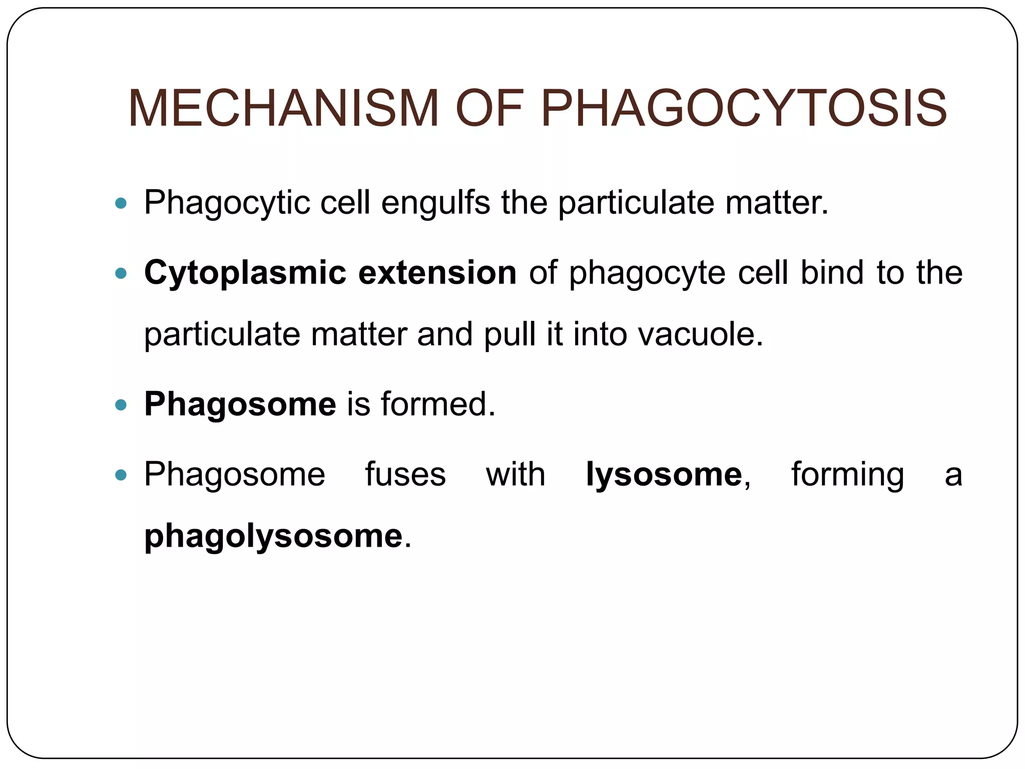 MECHANISM OF PHAGOCYTOSIS
 Phagocytic cell engulfs the particulate matter.

 Cytoplasmic extension of phagocyte cell bind to the

  particulate matter and pull it into vacuole.

 Phagosome is formed.

 Phagosome      fuses    with   lysosome,       forming   a
  phagolysosome.
 