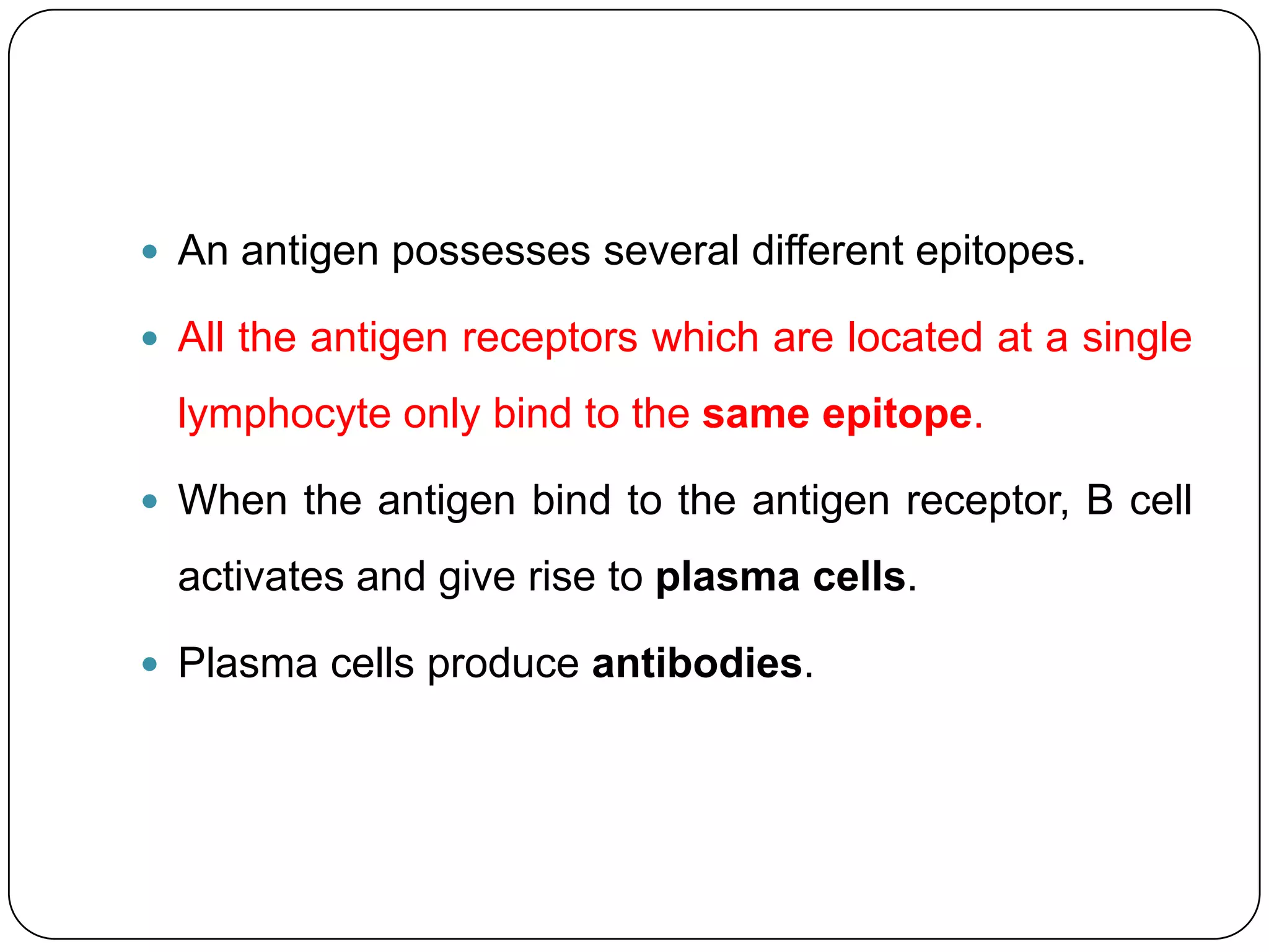  An antigen possesses several different epitopes.

 All the antigen receptors which are located at a single

  lymphocyte only bind to the same epitope.

 When the antigen bind to the antigen receptor, B cell

  activates and give rise to plasma cells.

 Plasma cells produce antibodies.
 