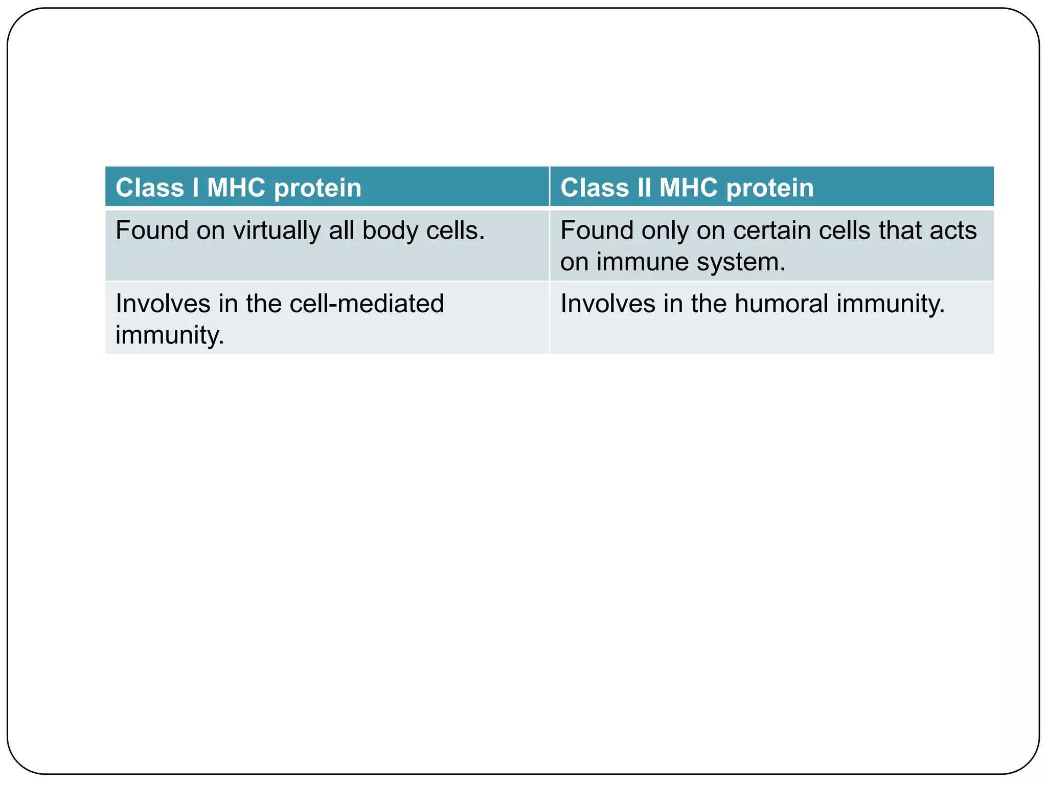 Class I MHC protein                  Class II MHC protein
Found on virtually all body cells.   Found only on certain cells that acts
                                     on immune system.
Involves in the cell-mediated        Involves in the humoral immunity.
immunity.
 